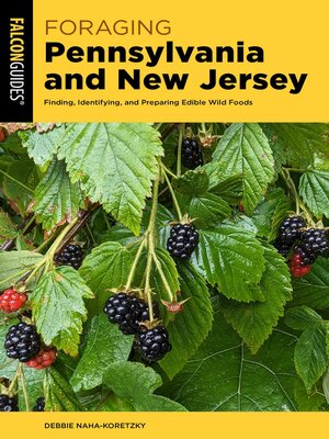 cover image of Foraging Pennsylvania and New Jersey